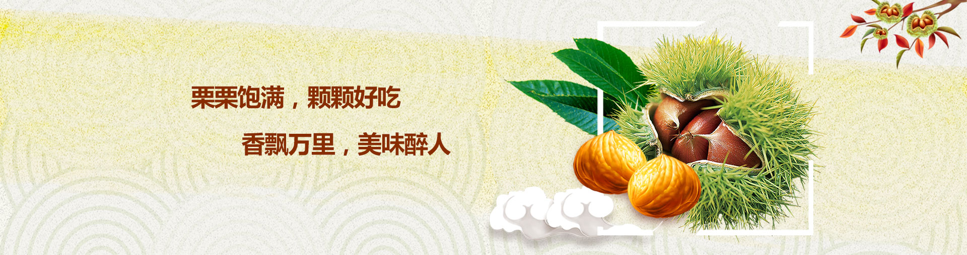 产品banner